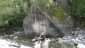 picture-2756-9905827