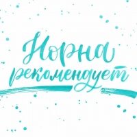 norna_rekomenduet_22-1716139
